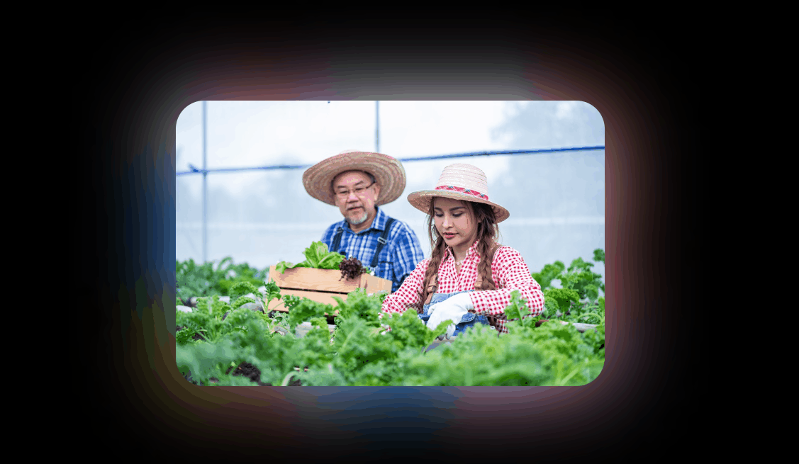 SOMBRA REFERENCIAL ANIMADA